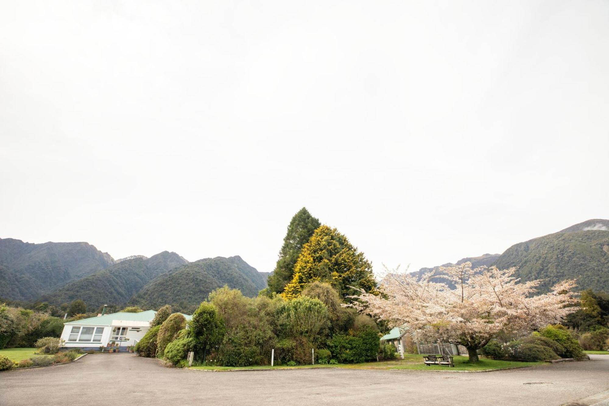 Rainforest Motel Fox Glacier Bagian luar foto
