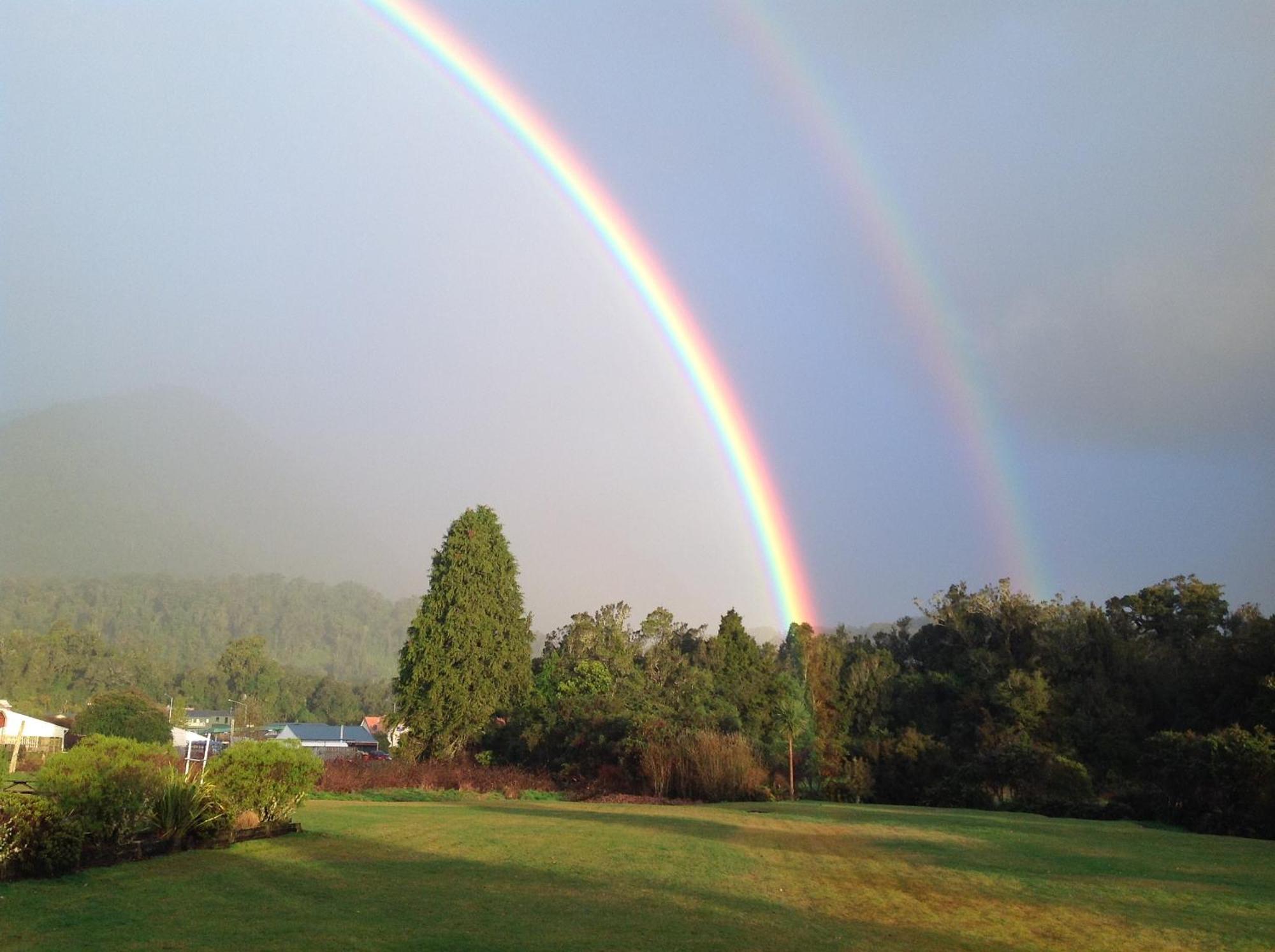 Rainforest Motel Fox Glacier Bagian luar foto
