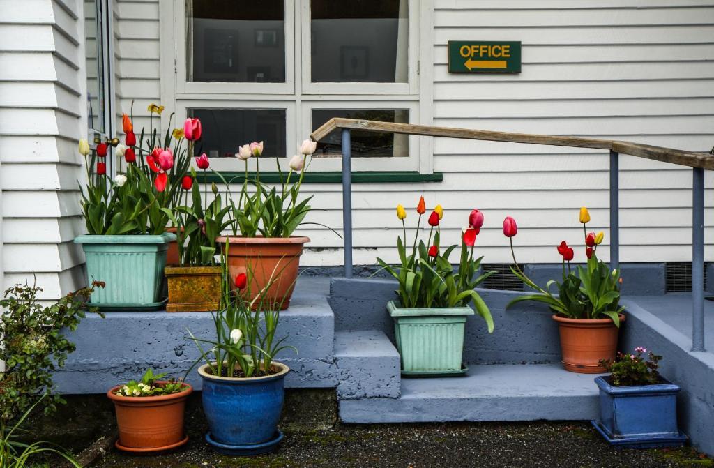 Rainforest Motel Fox Glacier Bagian luar foto